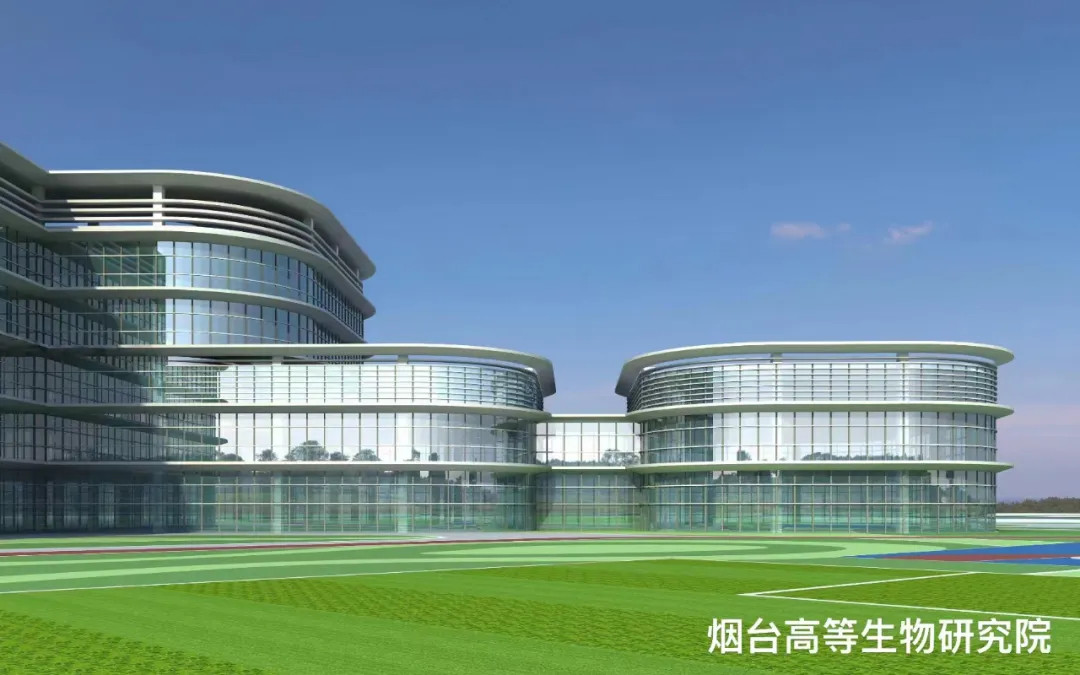 大跨度 高精度 超節能|鳳鋁助力菸台城市更新，展登州新貌